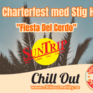 Kopia av Musik i Sommar 2025 Chill Out(A4) (1)